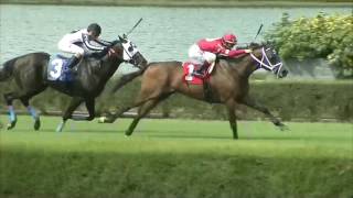 Gulfstream Park Replay Show | October 8, 2016