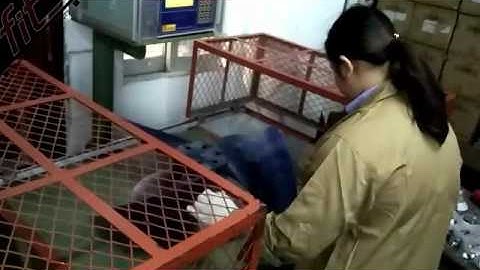 Dynamic Balance Testing