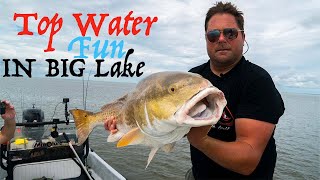Top Water Fun in Big Lake