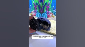 Nhà trú ẩn mô phỏng hang động cho cá | Artificial cave shelter for fish #aquatic #shorts