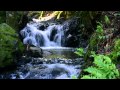 1 Hour Waterfall Sounds & Delta Waves 3.5 Hz