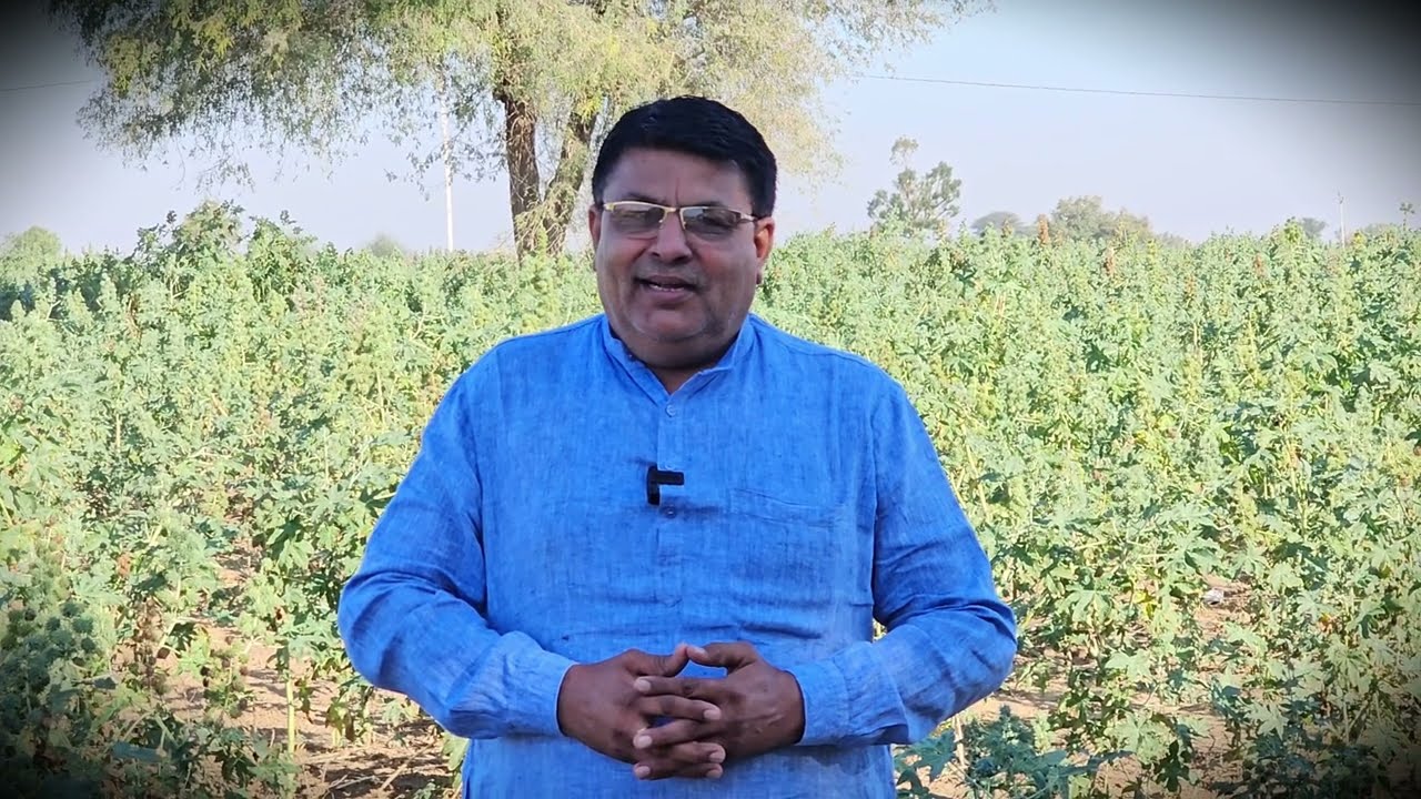 डोडा पोस्त चुरा को लेकर बवाल, आखिर क्या है असली जड़? MD, स्मैक में डूबती पीढ़ी....