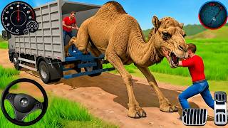 Camel Cargo Truck Driving Game 3D | Wild Camel Transport Truck Simulator 2026 | Android Gameplay screenshot 2
