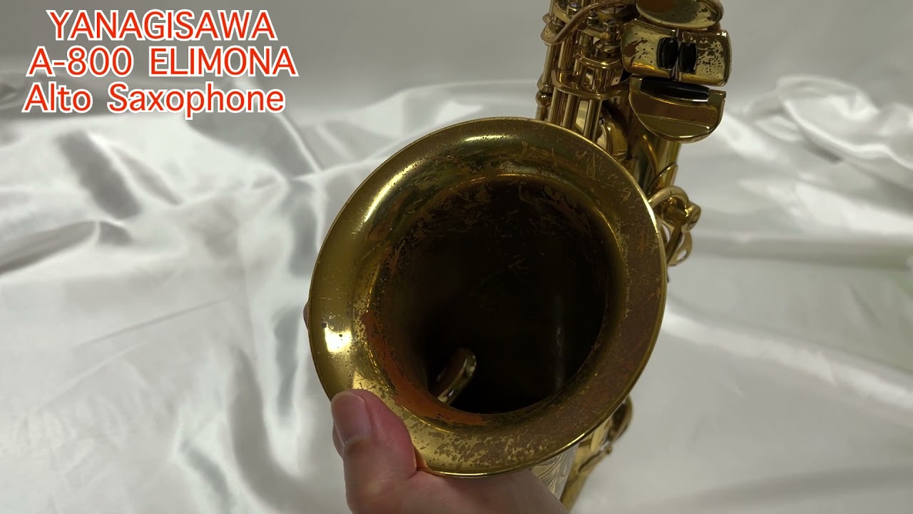 YANAGISAWA ヤナギサワ A-800 エリモナ 中古 アルトサックス 