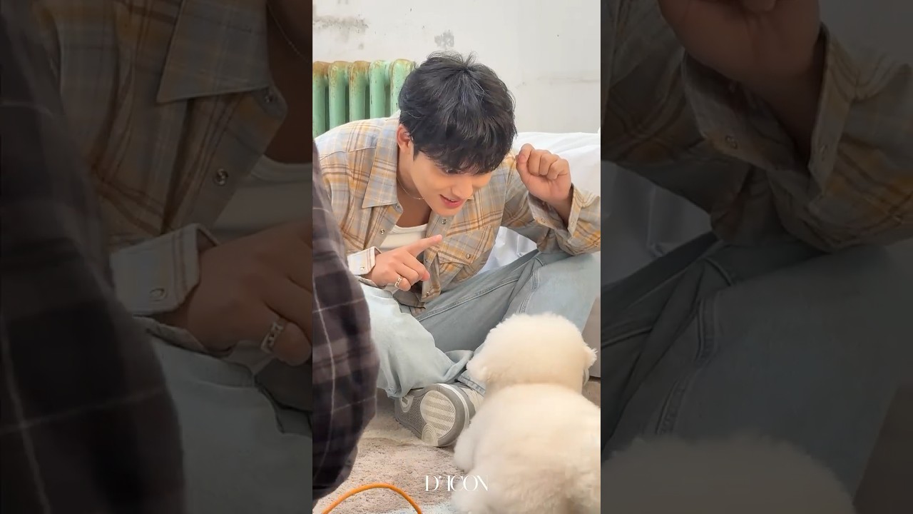 [dicon 10s] 큰멍과 작은멍🐶 이곳이 바로 천국..♥︎