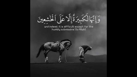 واستعينوا بالصبر والصلاه....بصوت القارئ عبدالرحمن مسعد ....راحه نفسيه ....ارح سمعك ....قرآن كريم...