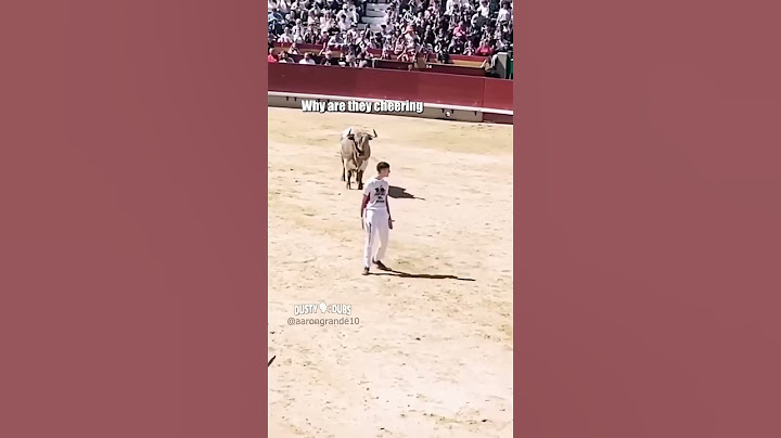this is bull 🎥: aarongrande10 (IG) #shorts