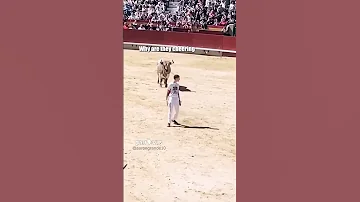 This Is Bull Aarongrande10 IG Shorts 