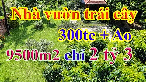 Td2.  Bán vườn Trái cây có hồ cá đẹp 9500m2 ở đồng nai. (Đã Bán )