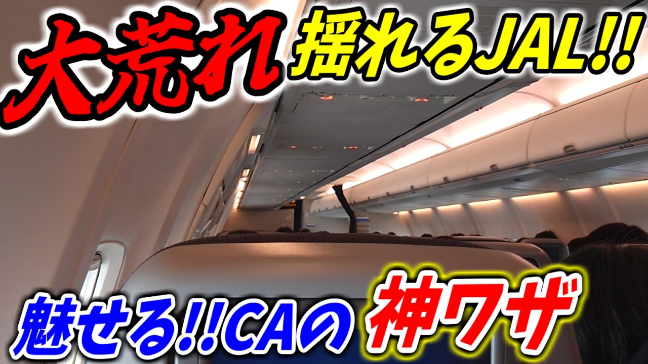冬の嵐!! 大荒れのJAL便に搭乗 クルーが魅せる神連携が凄すぎた!! 【成田→名古屋 搭乗記】
