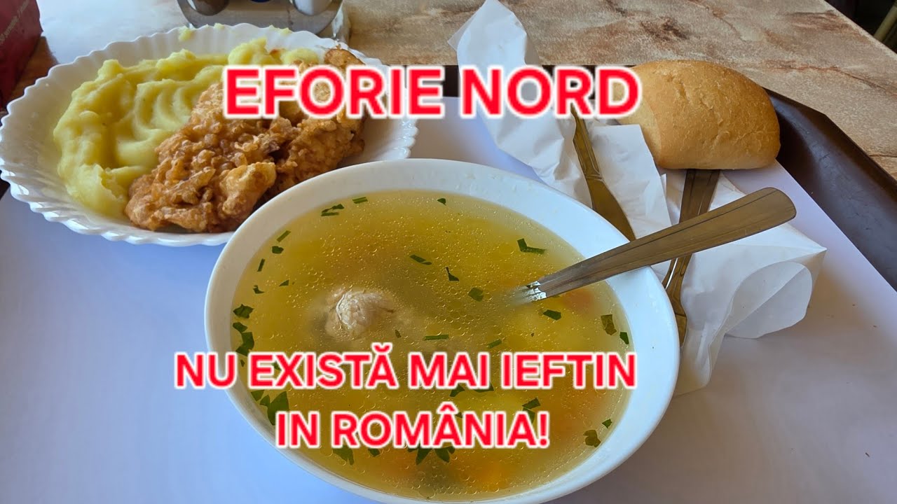 ȘOCAT DE PREȚ. 25 RON MENIUL ZILEI IN EFORIE NORD!!!! AM mâncat in două Autoserviri.