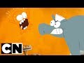 Lamput | Doc Dog | Cartoon Network