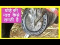 घोड़े की नाल Horse Shoeing A Race Horse In India : Farrier : Indian Artisans