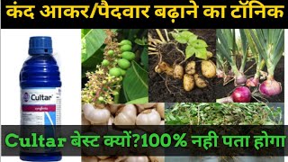 Sygenta Cultar Full Specifications|कंद आकार बढ़ाने का टॉनिक|पैदावार बढ़ाने का टॉनिक|Best Tonic|Onion.