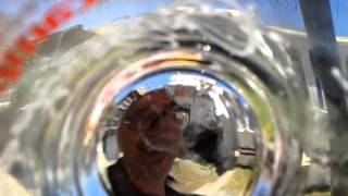 El Mundo En El Culo De Un Vaso.