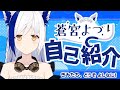 【自己紹介】こんよづり~、蒼宮よづりです!どうぞよしなに~✨【VTuber】