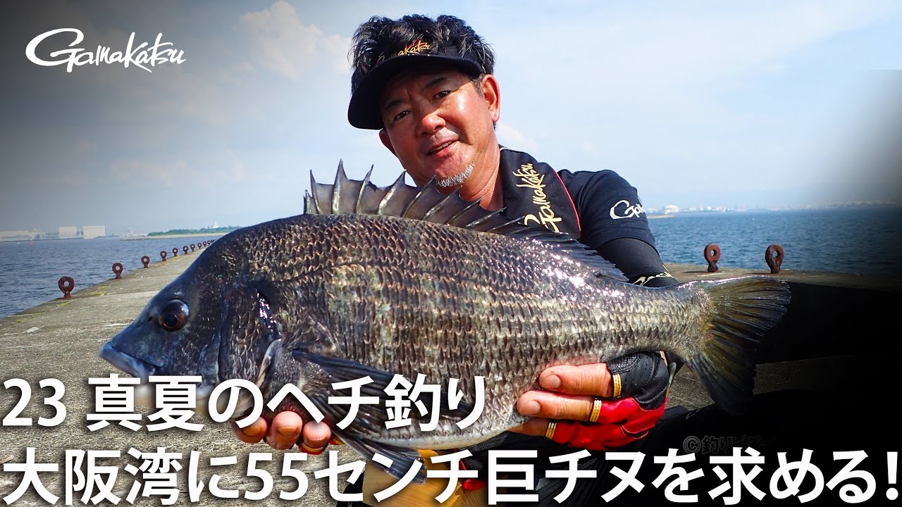 Midsummer Hechi Fishing: Seeking a 55cm+ Giant Black Sea Bream in