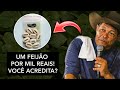 Se não fosse FILMADO, você  não ACREDITARIA | ABSURDO!!