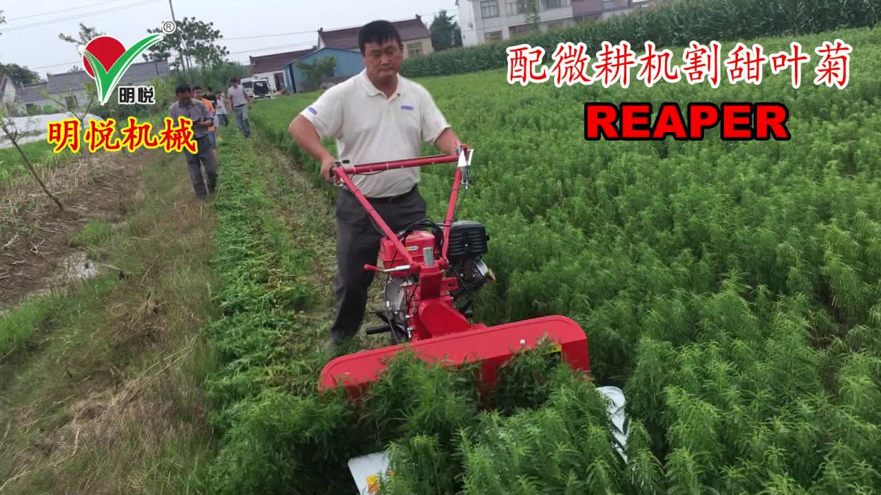 041 Stevia Reaper harvesting machine  whatsapp: +8618262494472