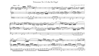 Johann Sebastian Bach: Trio Sonata, BWV 529 (Alison Balsom, trumpet) I