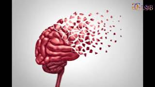 Celebrity Hidden Brain Layers May Explain Why Memory Fails Profile
