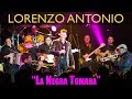 Lorenzo Antonio - "La Negra Tomasa" (en vivo)