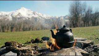 A Hidden Discovery in the Deep Winter Forest | Nature ASMR, Campfire & Mountain Tea