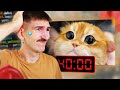 Challenge : 40 min pour coder un chat qui court après la souris