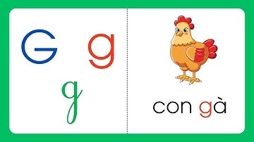 Bảng Chữ Cái Tiếng Việt - Bé Học Thuộc Ngay 3 Kiểu Chữ Cái| Nguyễn Thị Lan Anh