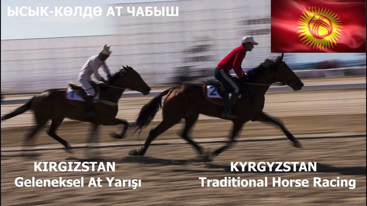 Традиционные скачки в Кыргызстане! | Прямая трансляция из Кыргызстана