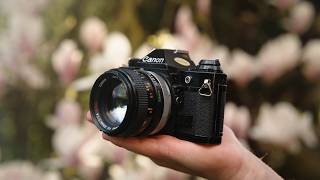 The Lost Art Of Intentional Photography