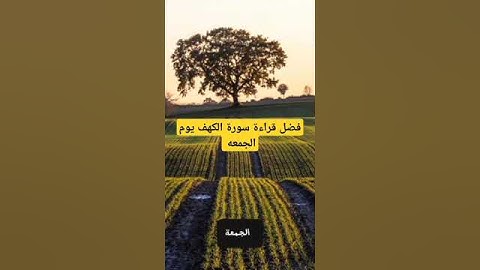 فضل سورة الكهف يوم الجمعه