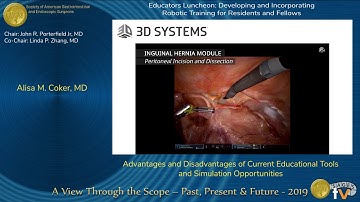 Advantages and Disadvantages of Current Educational Tools and Simulation Opportunities