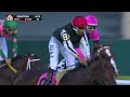 2025 Flower Bowl Stakes - Bellezza (IRE)