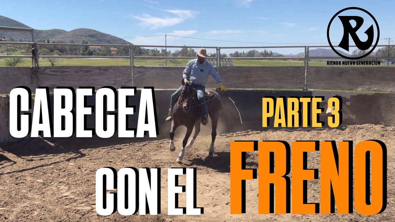 Como Arreglar un Caballo que Cabecea con el Freno Charro. PARTE 3. Sistema RNG.