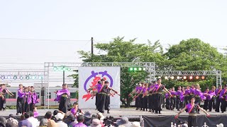 [4K] 高知学生 旅鯨人　犬山踊芸祭 2024 土曜日