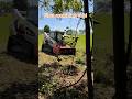 First Forestry Mulching Job! #landclearing #forestrymulching
