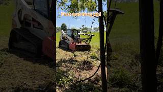 First Forestry Mulching Job! #landclearing #forestrymulching