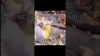 Frog wants 100k #memes #viral #frog #anewbeginning