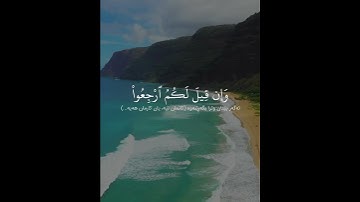 سورة النور (الآية ٢٧ - ٢٩) القارئ سلمان العتيبي