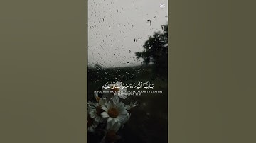 تلاوة علي جابر #القرآن #اكسبلور #المصحف #الرحمن