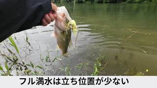 Chatterbait] When They Hit the Most [Curve Fall] - YouTube