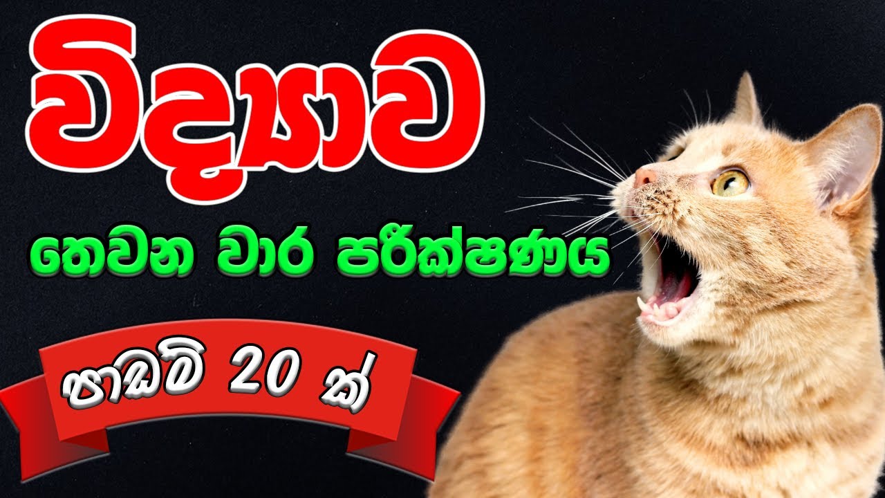 Grade 10 Science - 💯තෙවන වාර පරීක්ෂණය💯 - 3rd term test