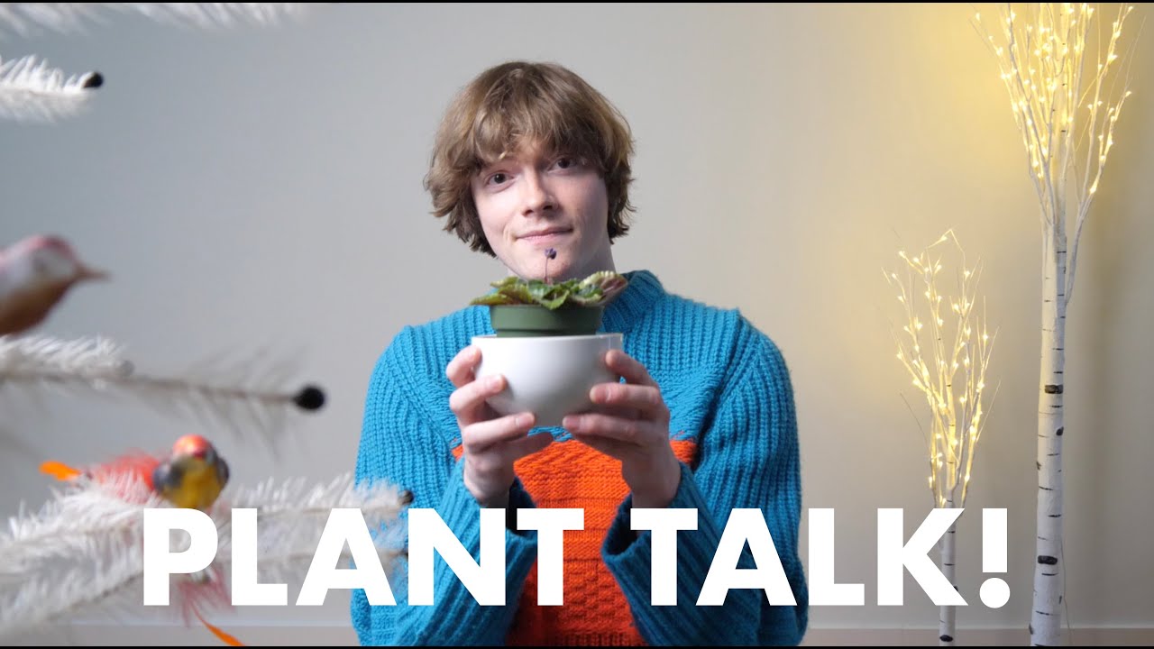 SNAP Print Affair 2020 performance by Zach Polis