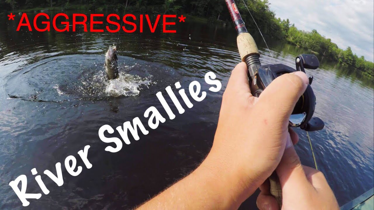 Fishing the Androscoggin River for AGGRESSIVE Smallmouth Bass!