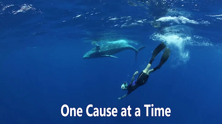 Saving the Planet. One Cause at a Time. Alice Forr...