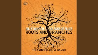 Miniatura de "Billy Branch & The Sons Of Blues - Hate To See You Go"