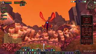 SoloCraft.org - Ayamiss the Hunter Solo Kill