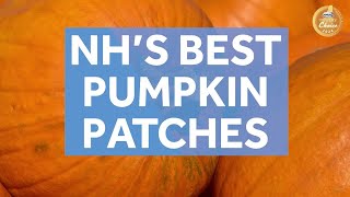 Viewers' Choice 2024: Best pumpkin patch in New Hampshire