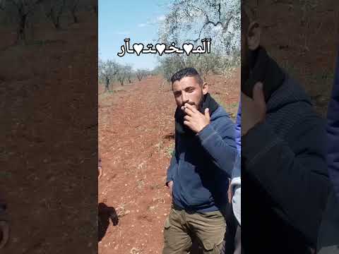 نحنا يا دنيا تعبنا يادنيا اغاني حزينة حالات حزينة لايك اشتراك